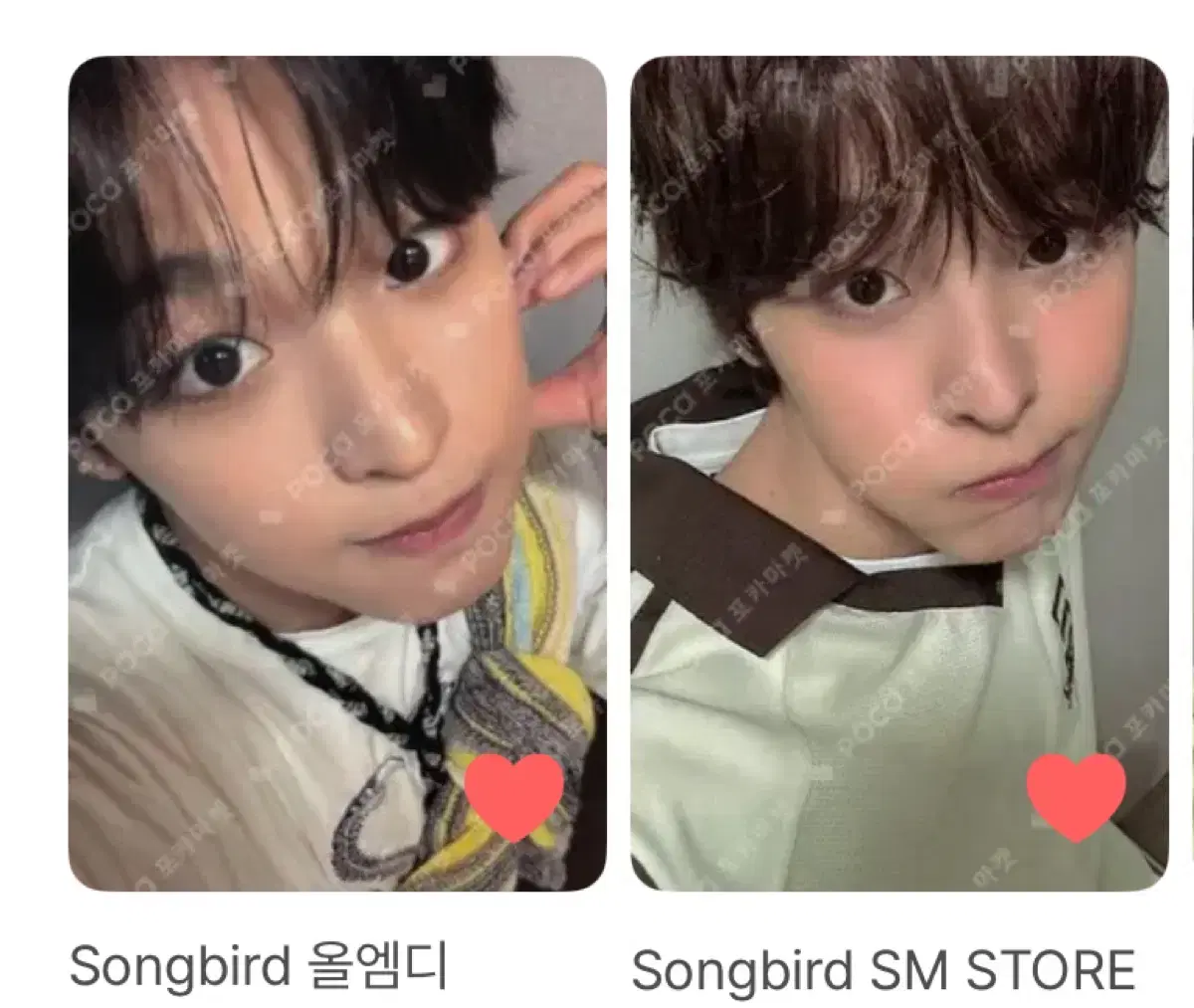 엔시티 리쿠 포카 양도 받아요 송버드 스테디 럭드 슴스 smstore